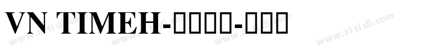 vn timeH-常规斜体字体转换